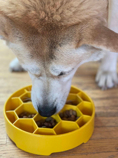 SodaPup Honeycomb eBowl deep slow feeder dog bowl with honeycomb design for enrichment, made in the USA.