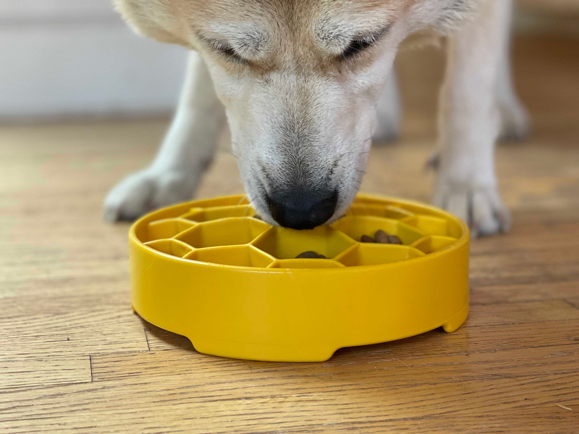 SodaPup Honeycomb eBowl deep slow feeder dog bowl with honeycomb design for enrichment, made in the USA, shown on a white background.