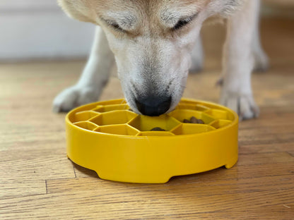 SodaPup Honeycomb eBowl deep slow feeder dog bowl with honeycomb design for enrichment, made in the USA, shown on a white background.