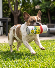 Topo Chiwawa Seltzer