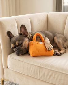 Barkin Bag - Orange | Squeaky Plush Dog Toy with Crinkle & Mesh Lining
