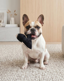 Jimmy Chew Shoe | Squeaky Plush Dog Toy with Crinkle & Mesh Lining