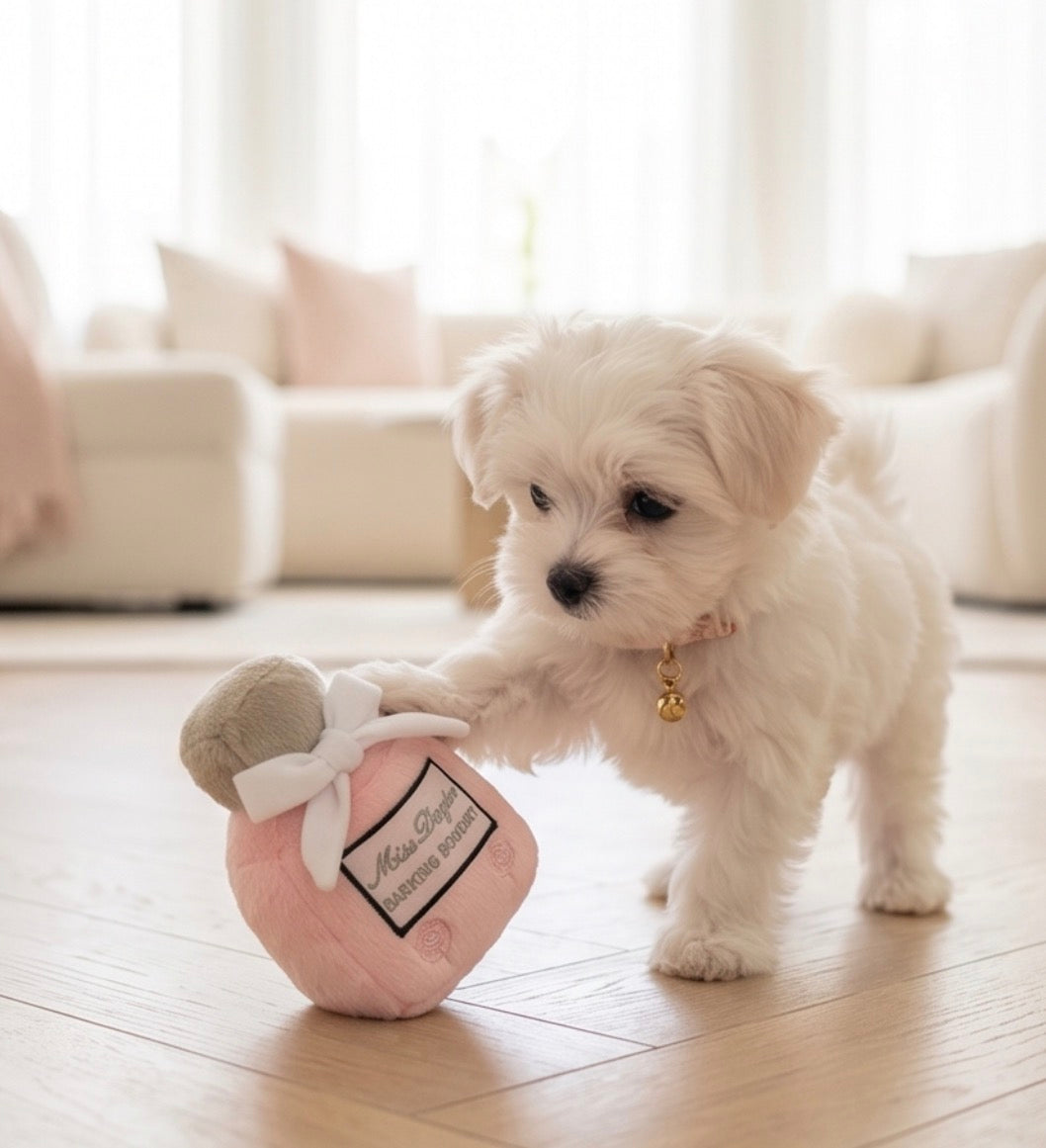 Miss Dogior Perfume Bottle