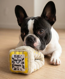 Pawtier Watch | Squeaky Plush Dog Toy with Crinkle & Mesh Lining