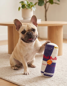 Red Bull Dog Energy Drink