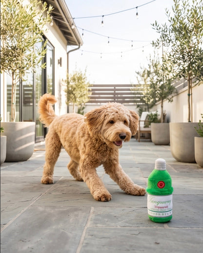 Tanqueruff Gin
