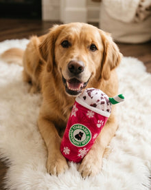 Starbarks Puppermint Mocha Christmas Holiday Plush Dog Toy