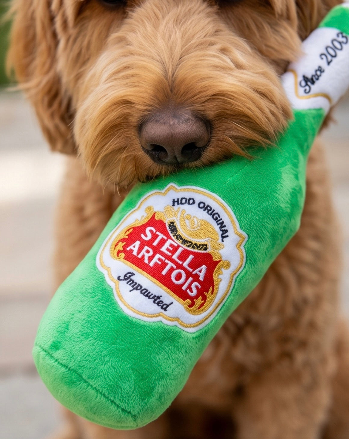 Stella Arftois Beer Bottle