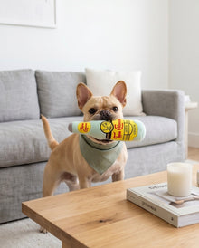 Topo Chiwawa Bottle