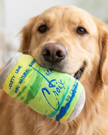 LickCroix Barkling Water  Lickety Lime