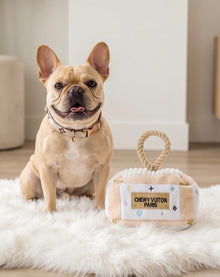 White Chewy Vuiton Trunk - Activity House