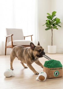 Starbarks Coffee House Interactive Toy