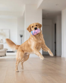 LickCroix - Barkin Berry