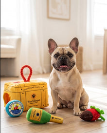 Woof Clicquot -  Pawty Set