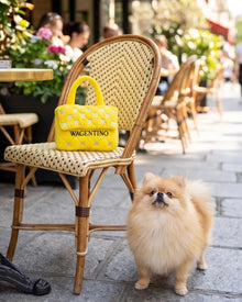 Wagentino Handbag