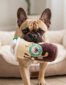 Starbarks Sweet Pup Cold Brew