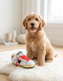 Golden Pooch - Original