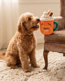 Pupkin Spice Latte Mug
