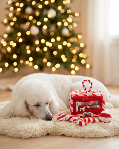 Puppermint Bark Activity House Holiday Christmas Plush Dog Toy