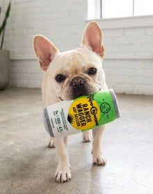 Topo Chiwawa Ranch Wagger