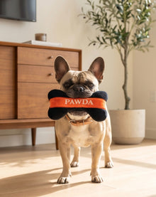 Pawda Bone | Squeaky Plush Dog Toy with Crinkle & Mesh Lining