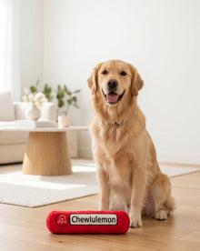 Chewlulemon Yoga Mat | Squeaky Plush Dog Toy with Crinkle & Mesh Lining