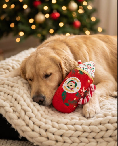 Howliday Cheer Mug Holiday Christmas Plush Dog Toy