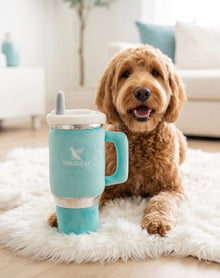 Snuggly Cup - Teal | Squeaky Plush Dog Toy with Crinkle & Mesh Lining
