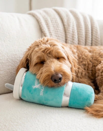 Snuggly Cup - Teal