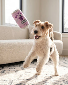 Olipup - Grrrape | Squeaky Plush Dog Toy with Crinkle & Mesh Lining
