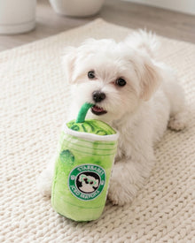 Starbarks Iced Matcha | Squeaky Plush Dog Toy with Crinkle & Mesh Lining