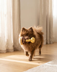 Espresso Muttini | Squeaky Plush Dog Toy with Crinkle & Mesh Lining