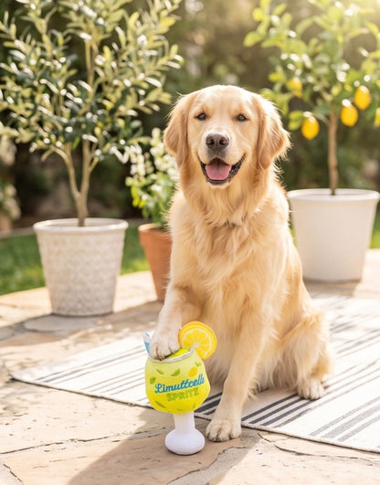 Limuttcello Spritz