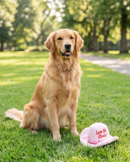 Pink Cowgirl Hat