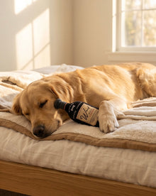 Woof Reserve Cabarknet | Squeaky Plush Dog Toy with Crinkle & Mesh Lining