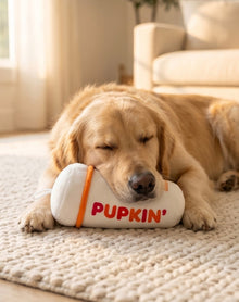 Pupkin' Donuts Hot Coffee | Squeaky Plush Dog Toy with Crinkle & Mesh Lining