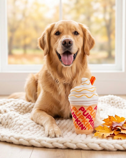Pupkin' Donuts Iced Coffee