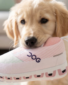 DOG Workout Shoe