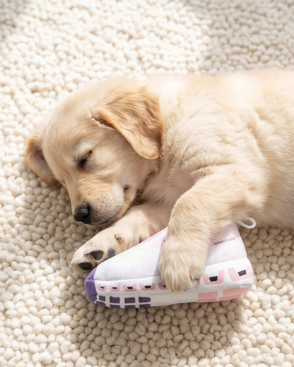 DOG Workout Shoe