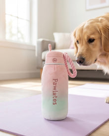 Pawlates Princess Water Bottle