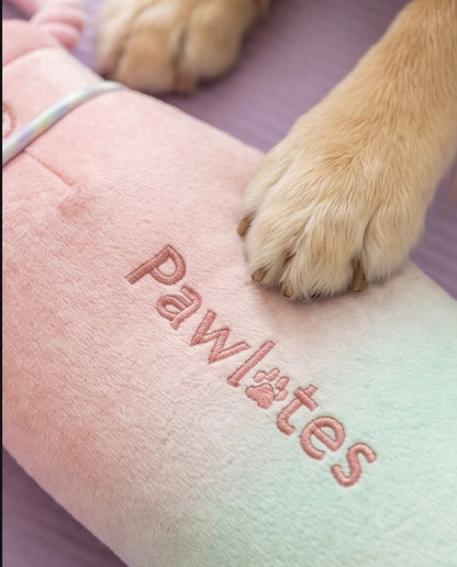 Pawlates Princess Water Bottle