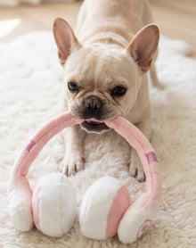 Barks Headphones