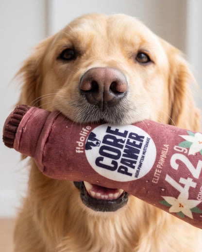 Core Pawer Pawtein Muttshake