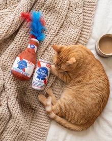 Cats Blue Ribbon - Organic Catnip