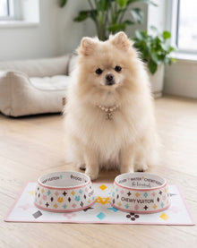 White Chewy Vuiton Bowls & Mat Bundle