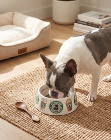 Starbarks Bowls
