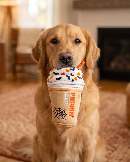 Pupkin' Donuts Halloween Iced Cup