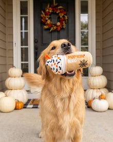 Pupkin' Donuts Halloween Iced Cup | Squeaky Plush Dog Toy with Crinkle & Mesh Lining