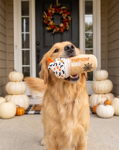 Pupkin' Donuts Halloween Iced Cup