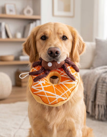 Spider Donut | Squeaky Plush Dog Toy with Crinkle & Mesh Lining